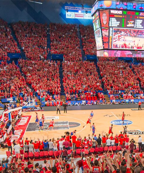 rac-arena-wildcats1